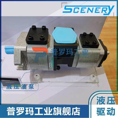 SCENERY双联内啮合齿轮泵 S2NCB系列 液压系统 伺服齿轮油泵 驱动