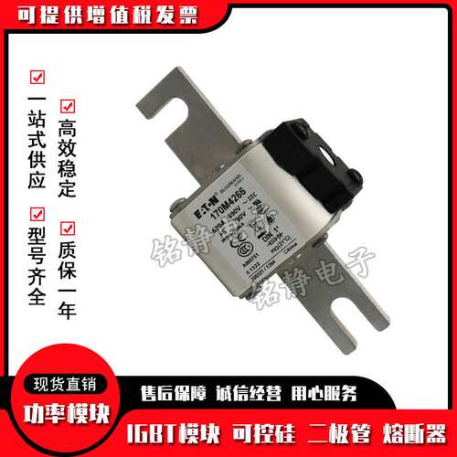170M4608 170M4609 170M4610 170M4611 170M4612熔断器170M4613