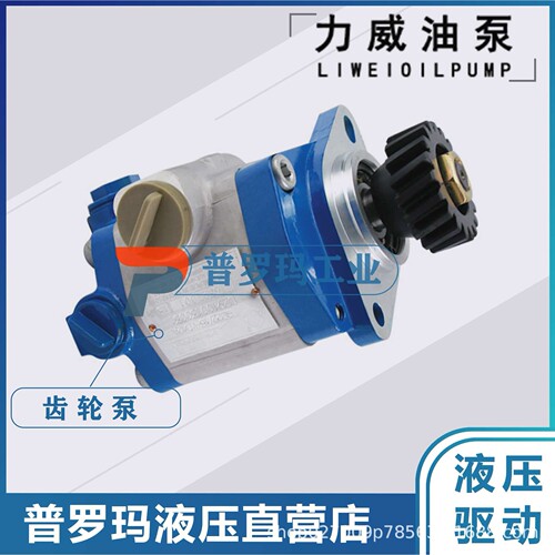 QC25/19-WD12-WL合肥力威齿轮油泵3500-3410002A叉车转向泵潍柴
