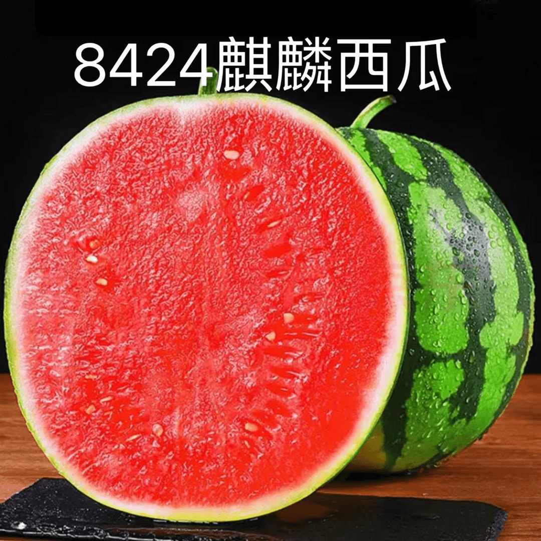 2026头茬麒麟西瓜无籽8424脆甜