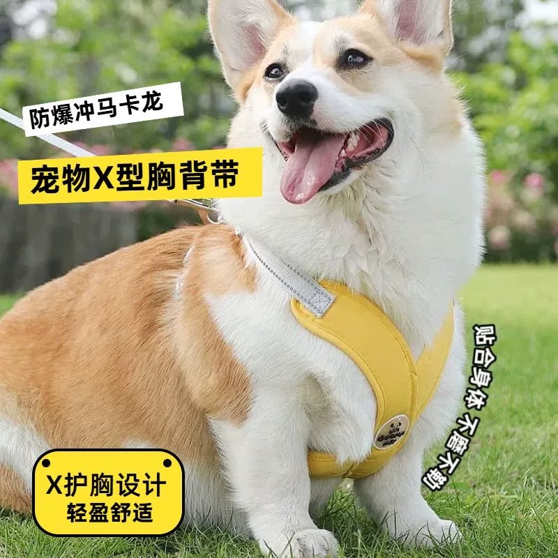 【下单立减50】新款宠物牵引绳背心式狗狗胸背带反光狗狗牵引绳BW