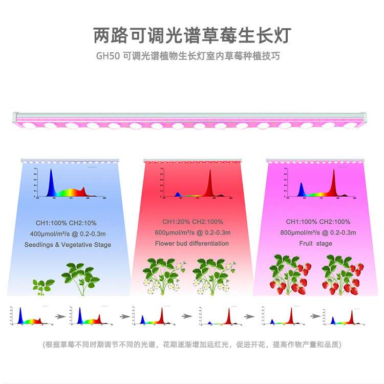 GH50 多肉食虫草栽培草莓生长灯商用展示观光LED植物灯厂家