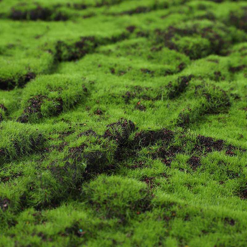 厂家 仿真苔藓草坪造景绿植物墙人造假苔藓微景观盆景裂纹草皮