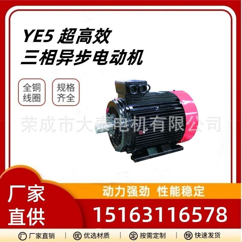 山东大泰电机YE4全铜芯4极315kw大功率交流三相异步马达电动机
