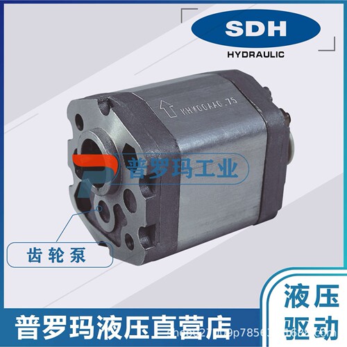 SDH齿轮泵液压泵油泵CBD-F2 CBD-F3 CBD-F4 CBD-F5 CBD-F6 CBD-F9