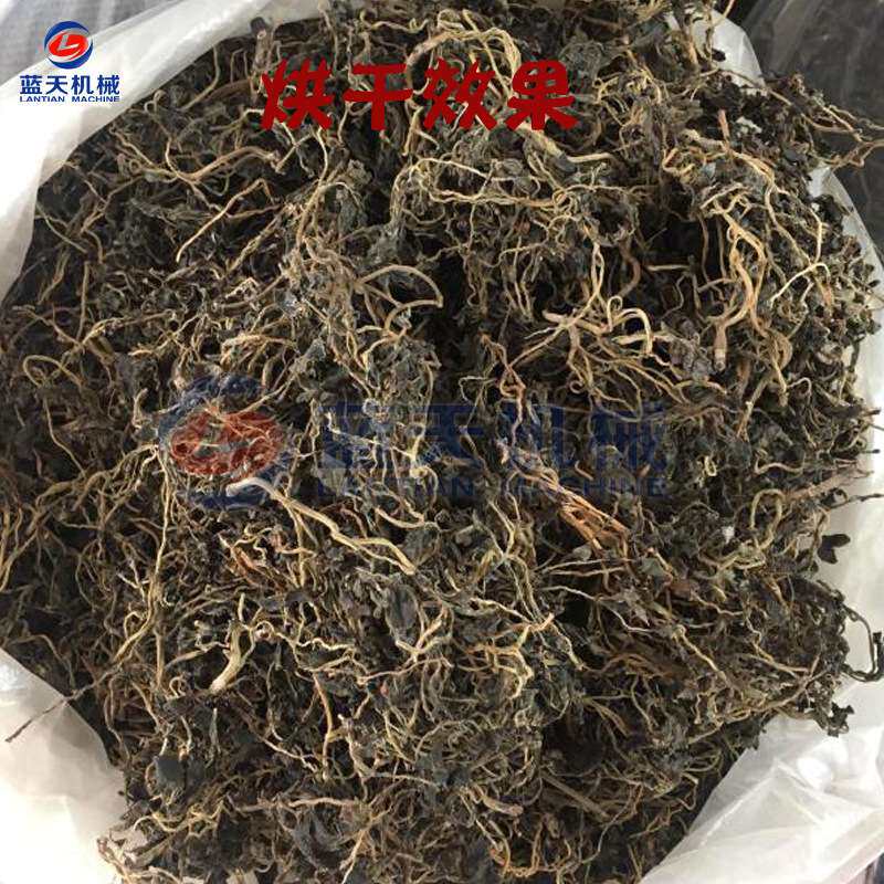 蓝天马齿苋烘干机小型商用 五行草麻绳菜烘干箱 马齿菜烘干机设备