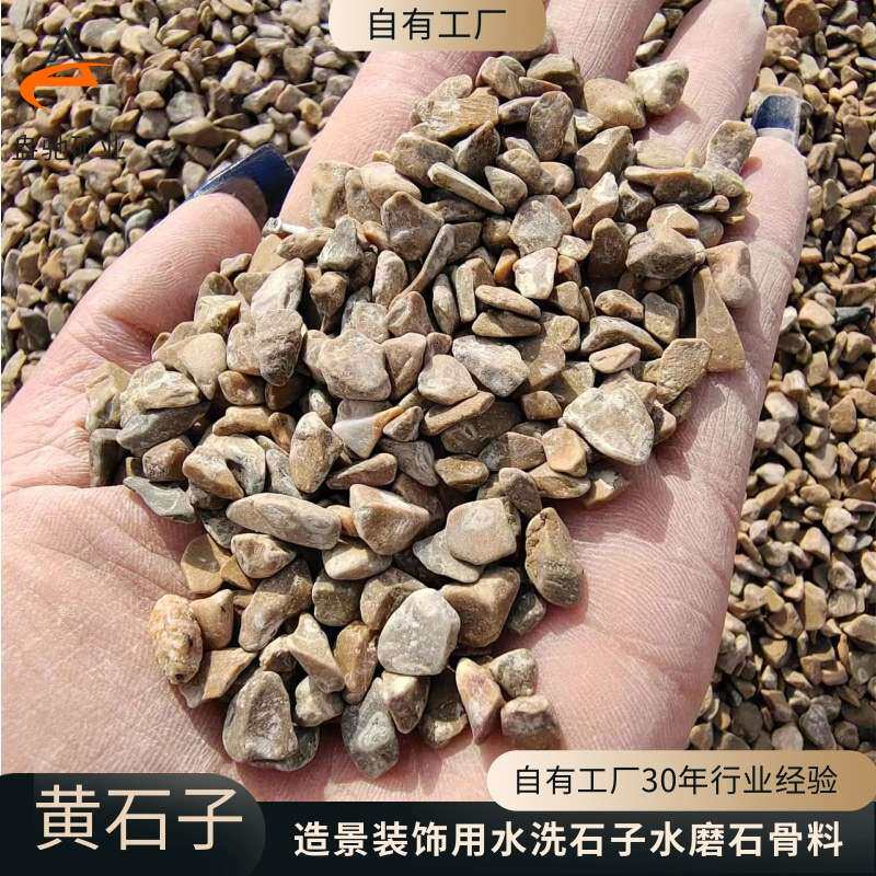 厂家供应石子园林景观散铺造景用地板黄碎石水洗石庭院石地板