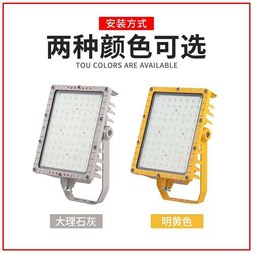 BFC8115LED泛光灯60W厂房隔爆型投光灯100W户外防水路灯式防爆灯