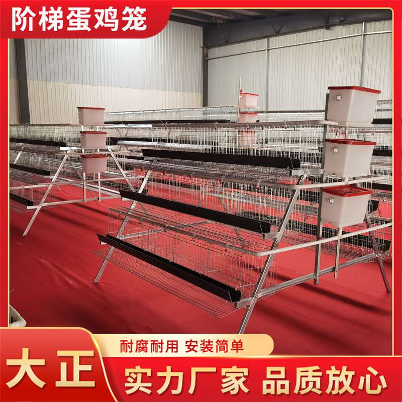 阶梯蛋鸡笼全自动 养殖场蛋鸡笼子 热镀锌鸡笼肉鸡笼 蛋鸡养殖笼