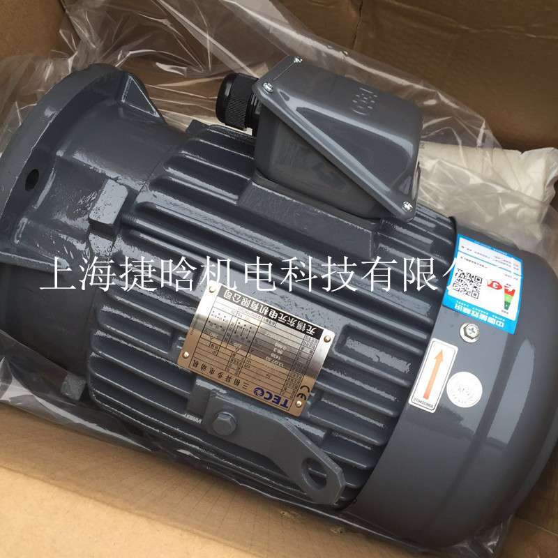 TECO东元电机三相异步马达25HP 18.5KW 4P AEEFF3 AEVFF3 IE2