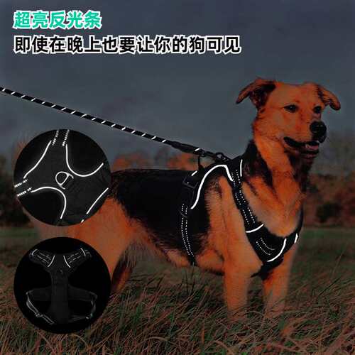 跨境亚马逊狗狗牵引绳宠物胸背尼龙狗绳大型犬胸背带宠物用品现货