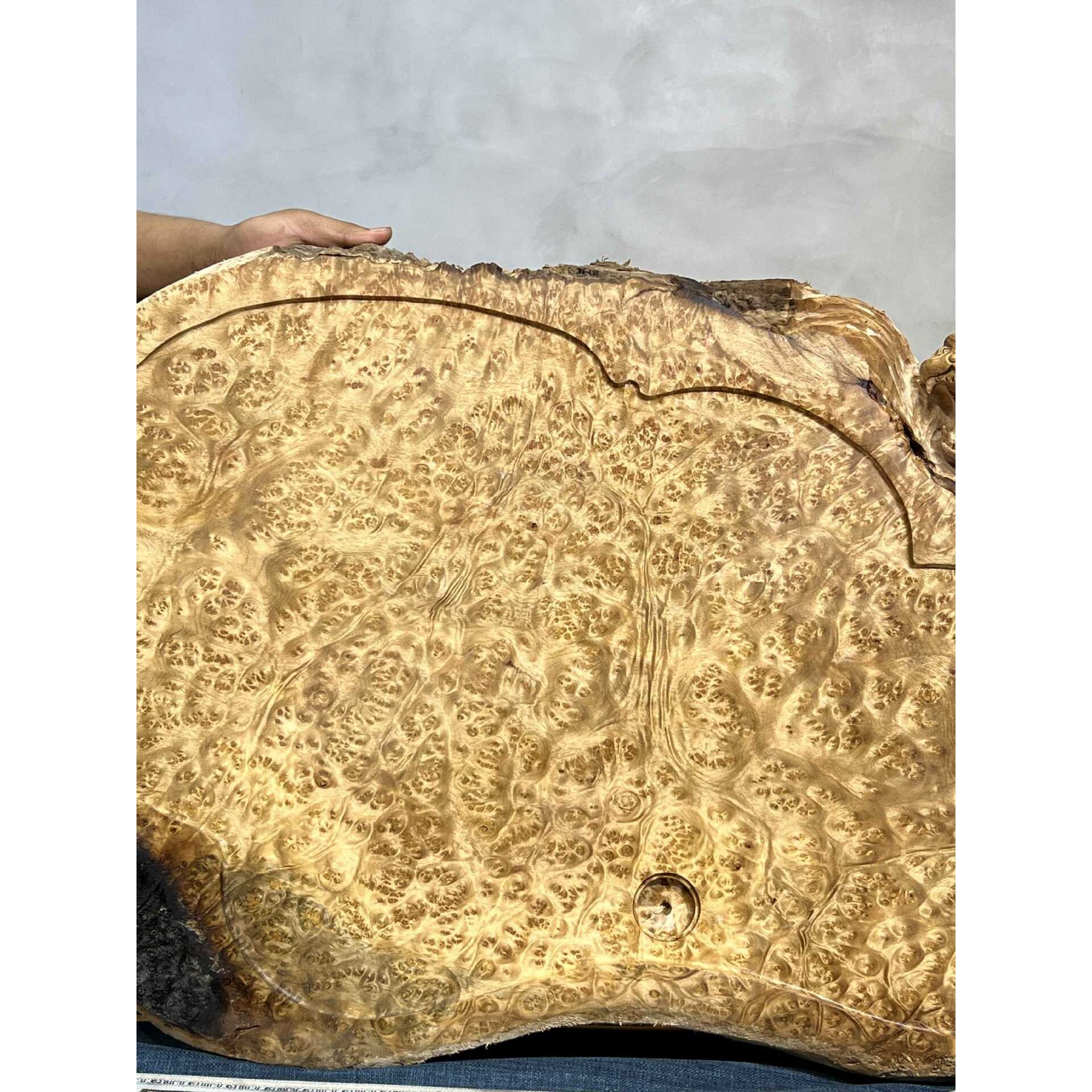 黄金樟木爆满树瘤茶盘 原木茶盘 实木茶盘 根雕茶盘 山香果茶盘