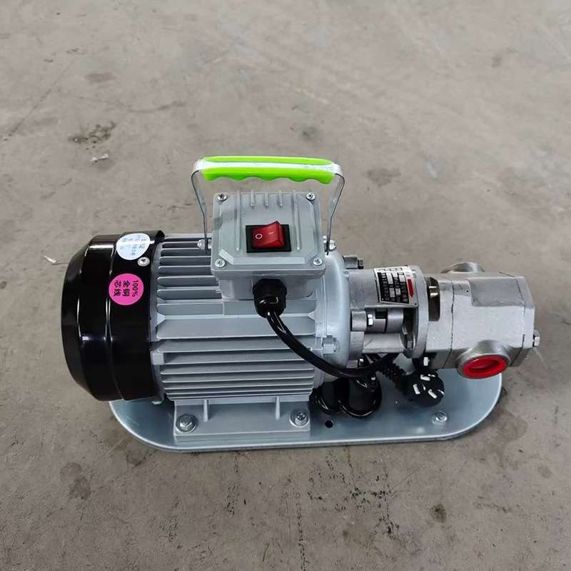 航源WCB-50手提齿轮泵304不锈钢电动抽油泵便携式油泵220V/380V