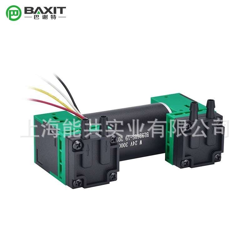 双头微型真空泵12V负压泵24V小型打气泵可调速无刷压力泵G4BL-2泵