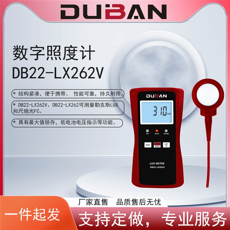 照度计DB22-LXm262V/DB22-LX262测量光度亮度的仪器仪表
