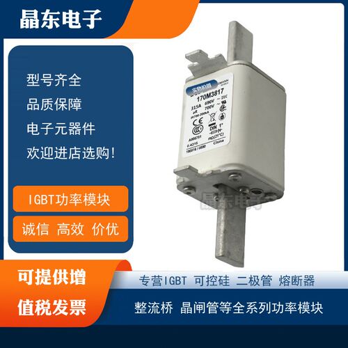 170Ma5764 170M5765 170M5766 170M5767 170M5768原装现货熔断器