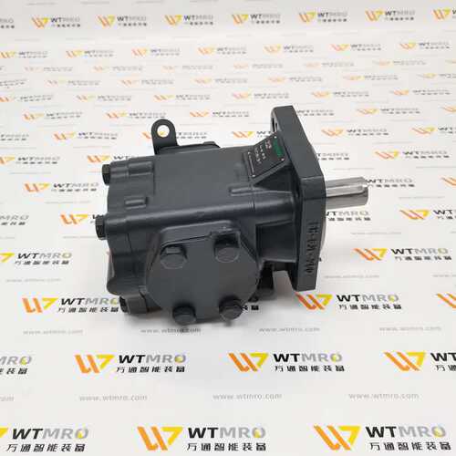 Rickmeier瑞克梅尔 R45/100 FL-Z-W-SAE2-R-P 齿轮泵