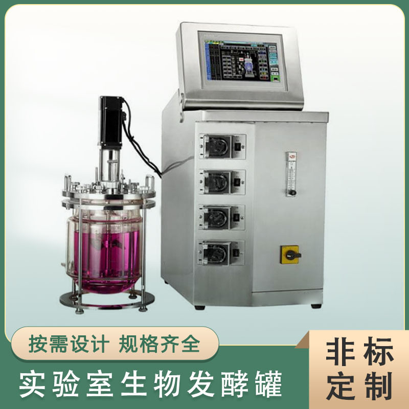 2L玻璃微生物发酵罐实验室用