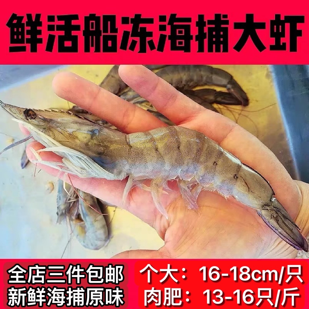 顺丰包邮青岛野生海虾鲜活青虾对虾基围虾白虾明虾鲜活海鲜水产