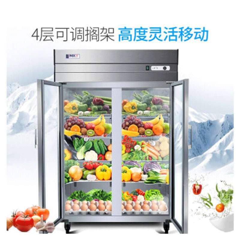 星星(XINGX) 商用双门厨房冰箱 全冷藏立式冰柜 玻璃门展示柜