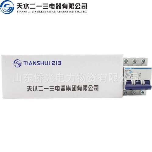 天水二一三DZX2-60 2P3P10A20A32A50A60A小型断路器空气开关