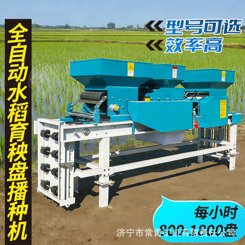 全自动水稻育秧播种机电动穴盘流水线旱地水田地水稻育秧苗机