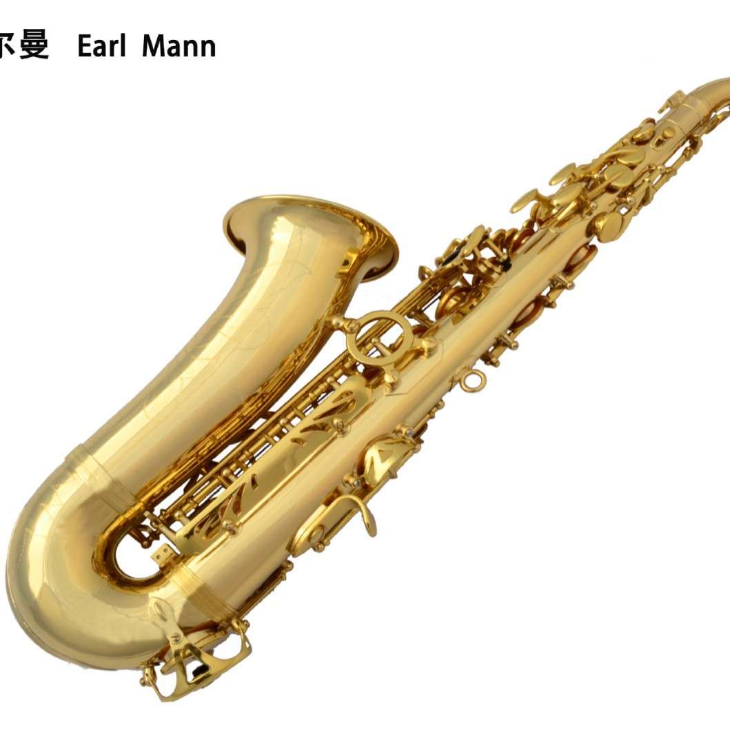 伊尔曼 Earl Mann乐器 专业中音降E电泳金双筋萨克斯管SAX