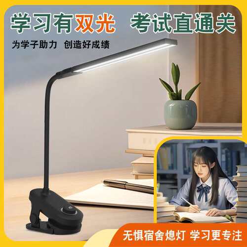 现货 学习台灯充插两用夹子桌面双头小台灯usb照明宿舍小夜灯