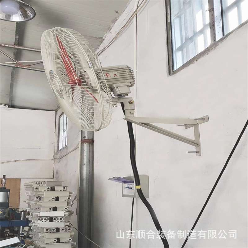 220V防爆摇头扇工业落地式电风扇厂家直供壁式防爆摇头扇