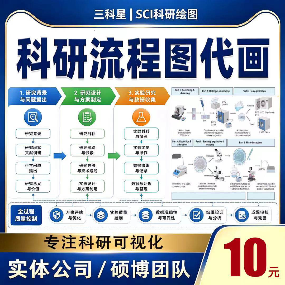 专业流程图代画visio图origin图图片