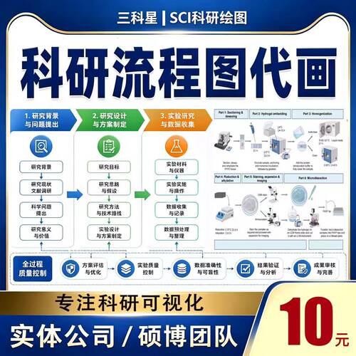 专业流程图代画visio图origin图