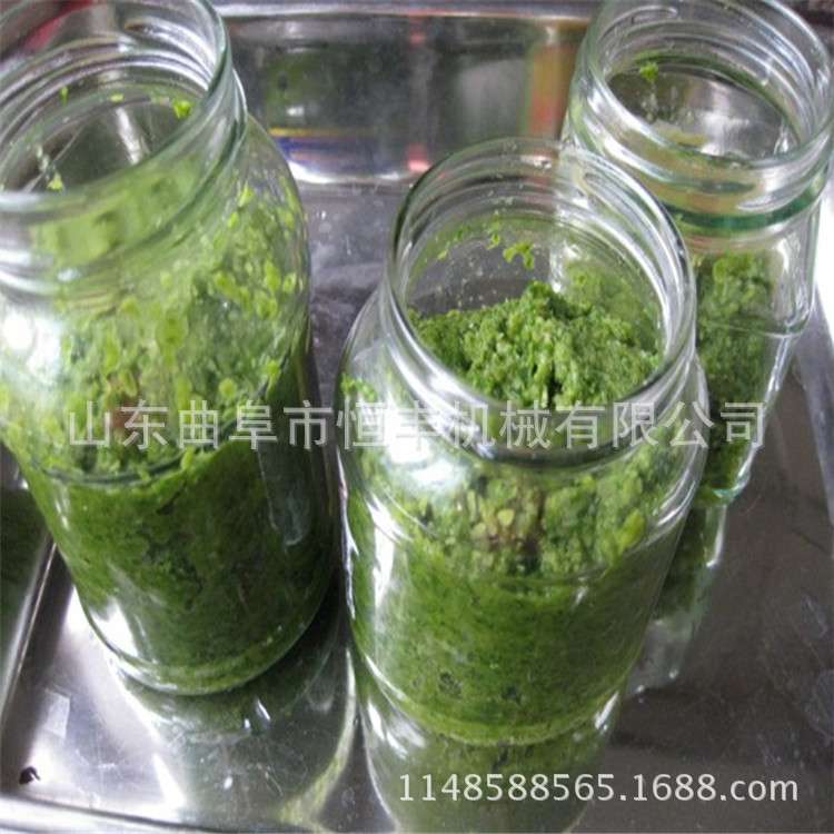 秧吊瓜家用打浆机 不锈钢锤片式黄瓜,西红柿打浆