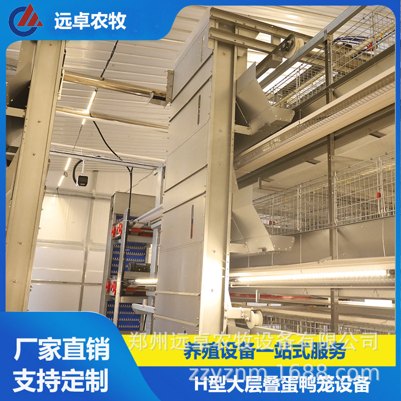 四层叠蛋鸭笼养移动喂料 江西新余H型5列8层蛋鸭智慧养殖