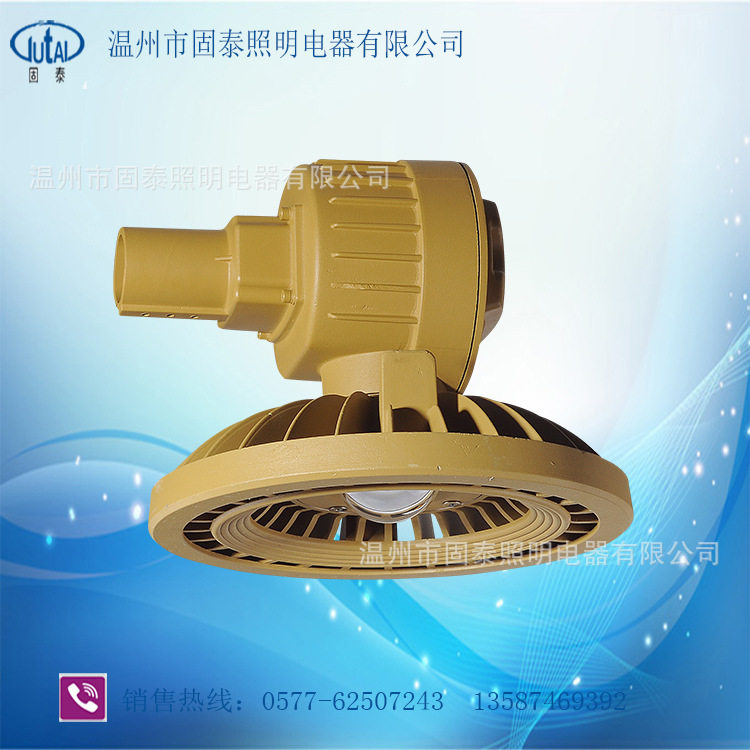 BTC8211-100WLED防爆投光灯