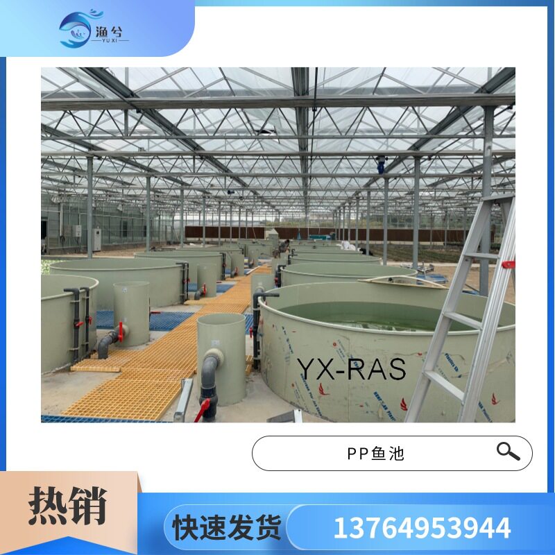 PP鱼池室内温室大棚小型鱼菜共生循环水系统水培系统鱼池
