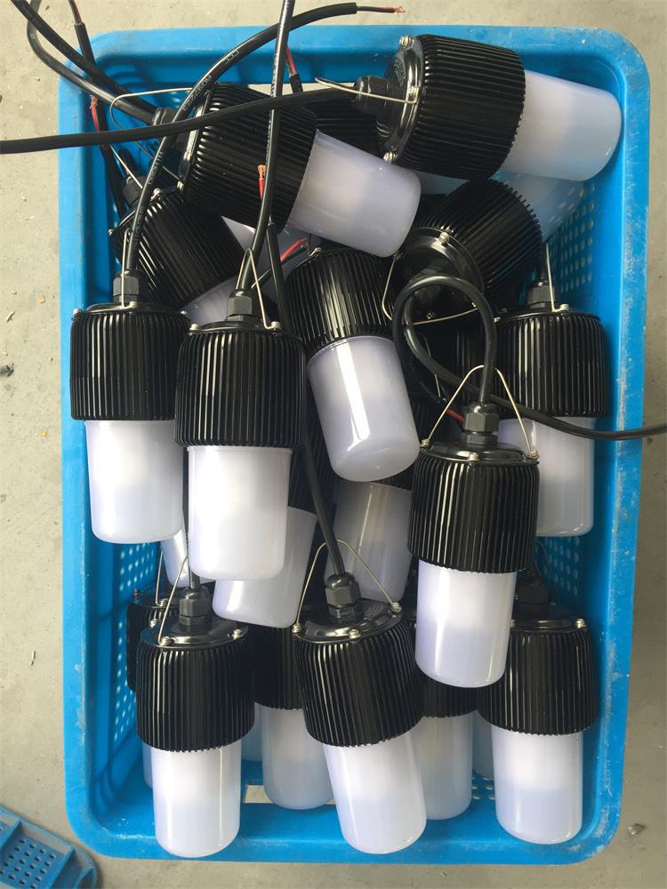 LED行灯 12V/24V/36V 低压LED行灯 LED低压挂灯 SG-FW6321