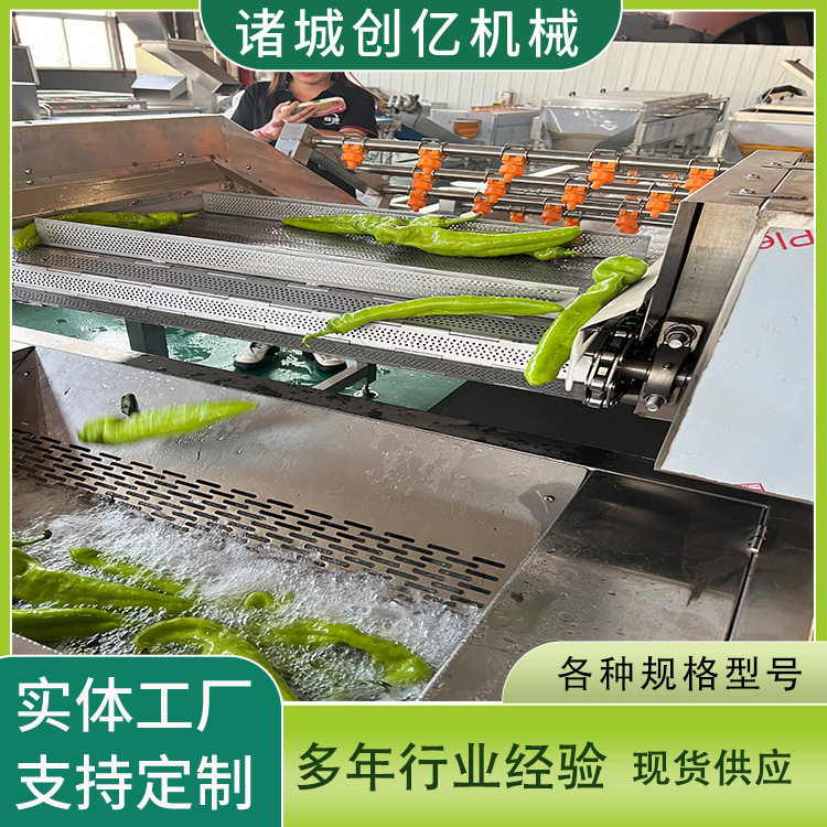 蔬菜清洗流水线泡椒蘑菇清洗机