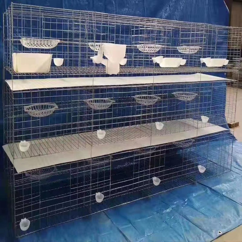 鸽子信鸽养c殖笼大号加粗用品用具12位位养殖配对笼肉鸽繁殖笼子
