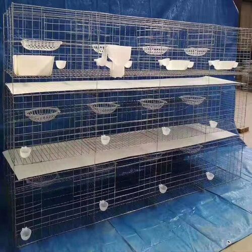 鸽子信鸽养c殖笼大号加粗用品用具12位位养殖配对笼肉鸽繁殖笼子