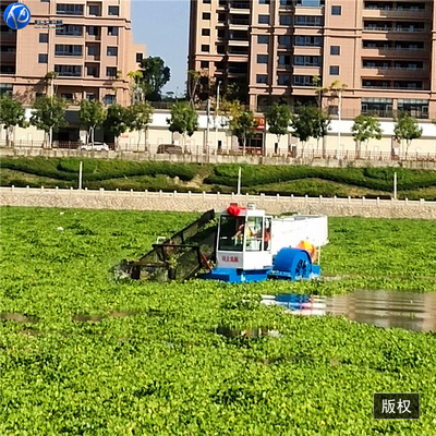 全自动水葫芦打捞割草船现货