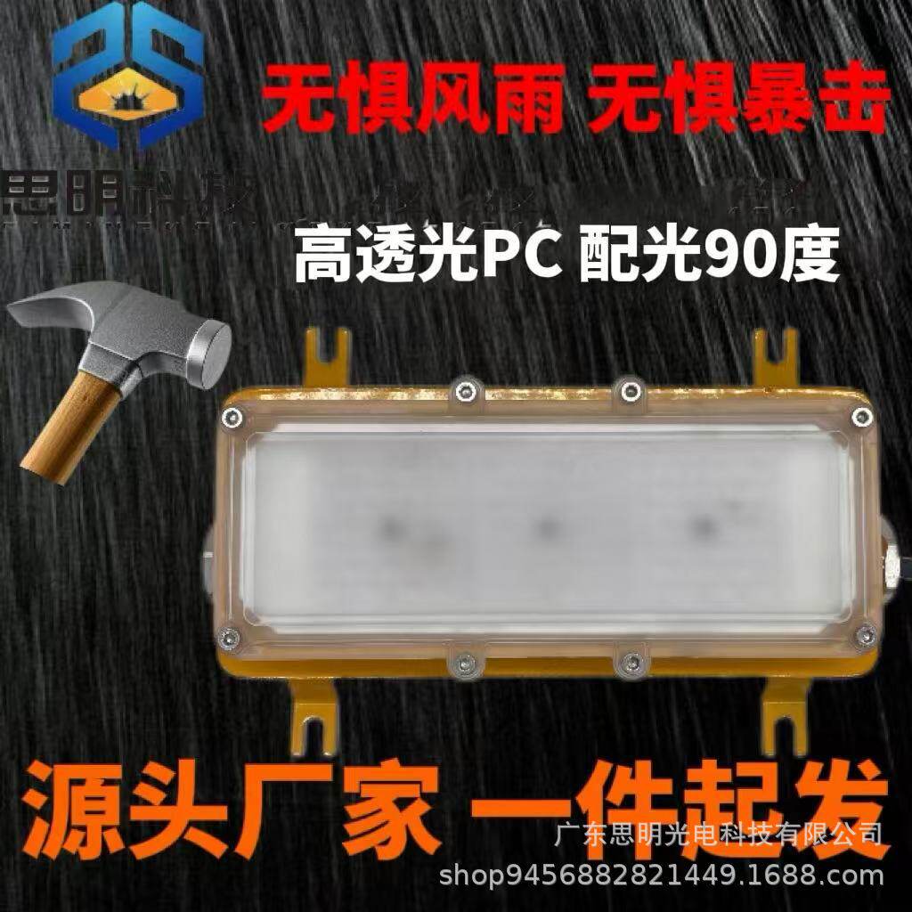 led支架灯隧道灯照明灯长条电缆应急吸顶巷道工业防爆灯小功率