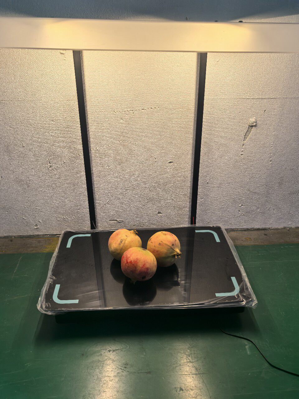 带口水罩美光灯智慧餐厅电子秤智慧食堂电子称