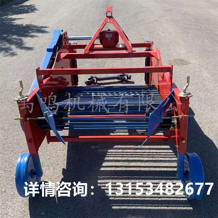 加固型土豆收获机 马铃薯地瓜收获机带防缠草辊胡萝卜洋芋收获机
