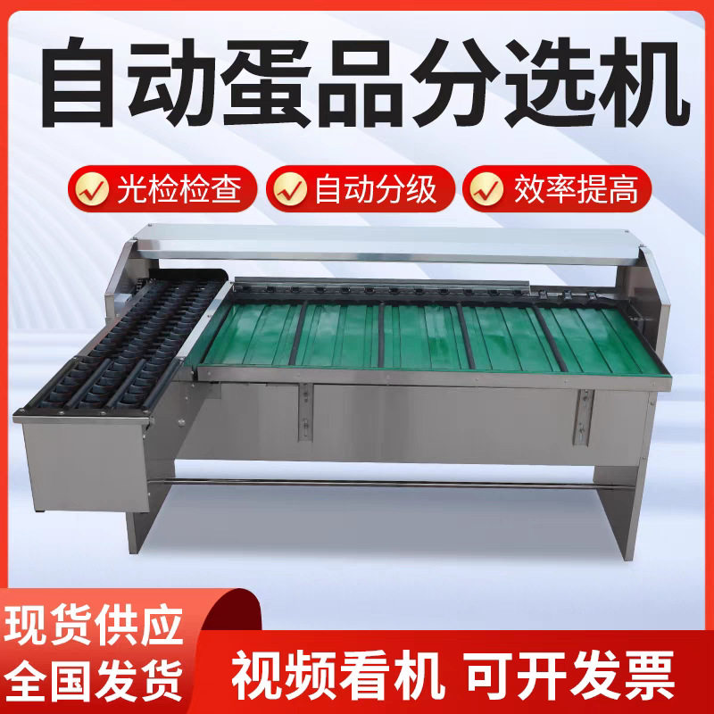 鸡蛋大小分选机 蛋品重量分级机 皮蛋加工设备