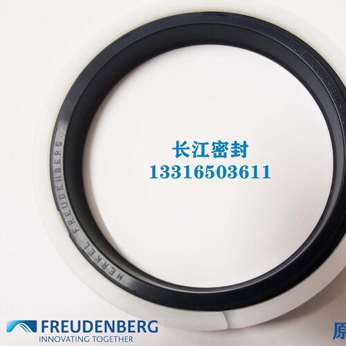 德国迈克MERKELFREUDENBERGT18140-120-12.2高压油封