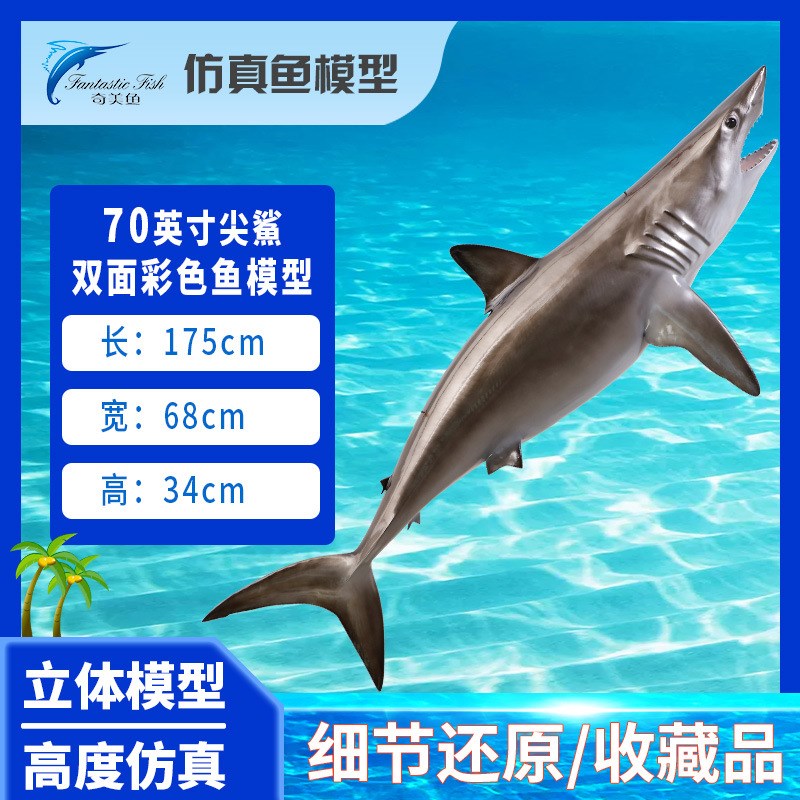 尖鲨鱼立体双面玻璃钢雕塑海洋工艺C品墙壁挂饰仿真鱼模型室内装