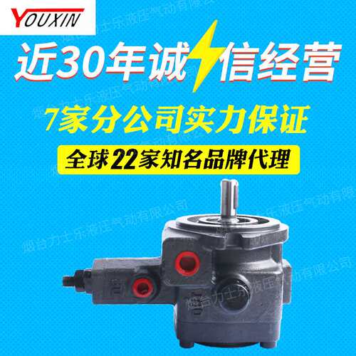 友信变量叶片泵VPV1-20-70=VP20FA3