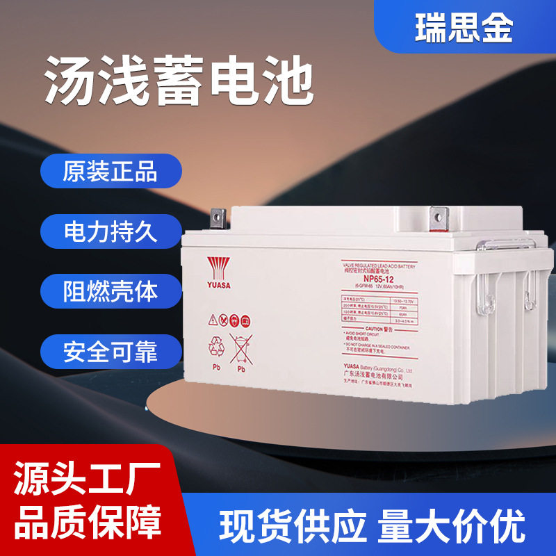汤浅铅酸免维护蓄电池12V65AUPSEPS直流屏基站应急照明电池电瓶