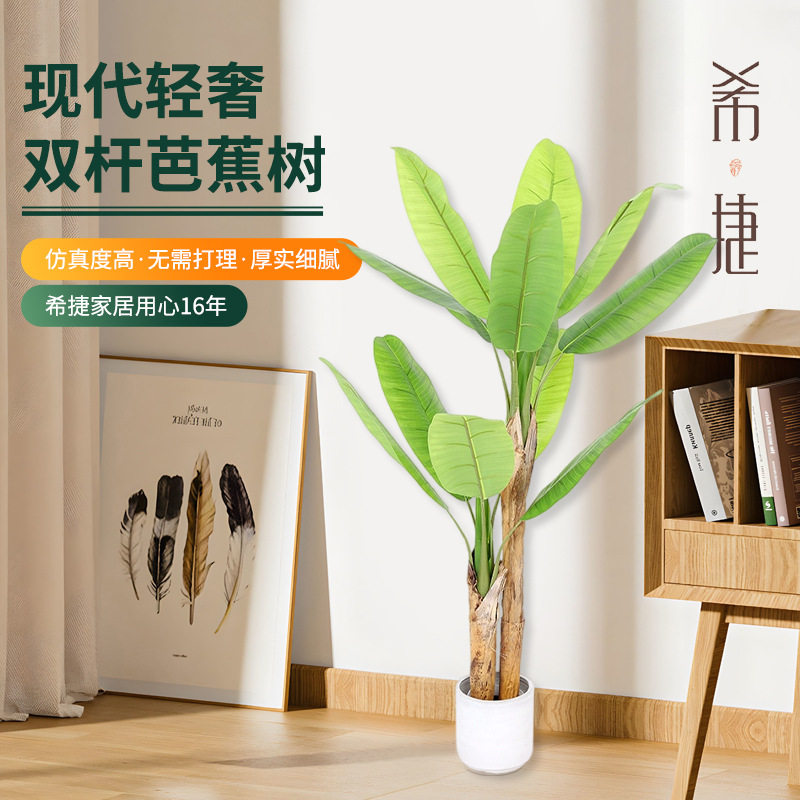 现货高仿芭蕉树盆栽仿热带植物双杆芭蕉树室内外装饰绿植盆栽造景