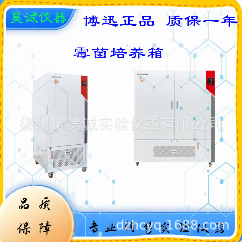 BMJ-100霉菌培养箱BMJ-160-250-400博迅不锈钢微生物试验箱育苗箱